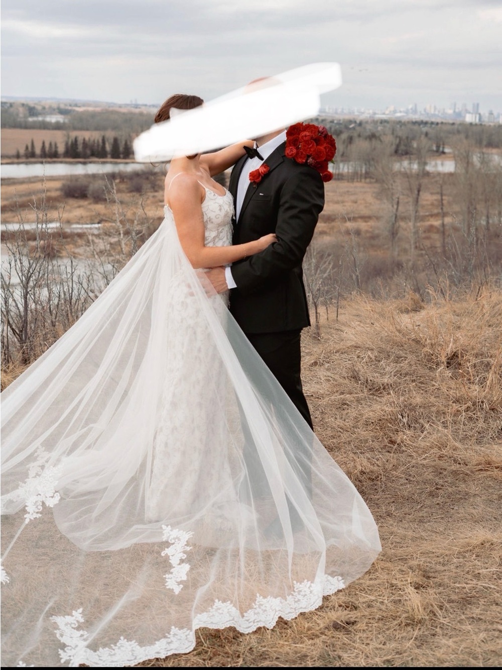 Vintage Wedding Dress w Overskirt/train - Picture 5 of 7